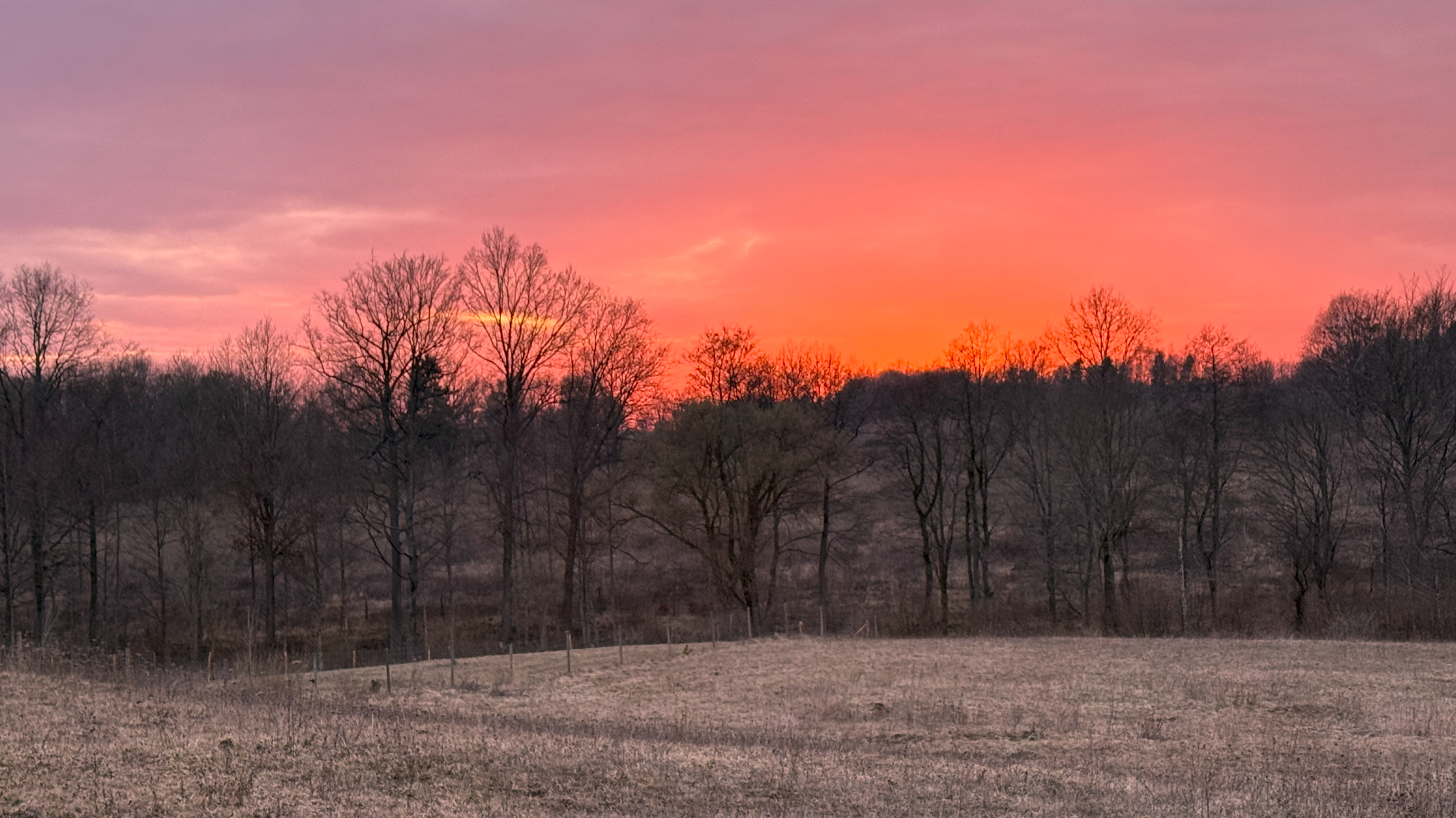 Pink and orange sunset over a snowy field and leafless trees