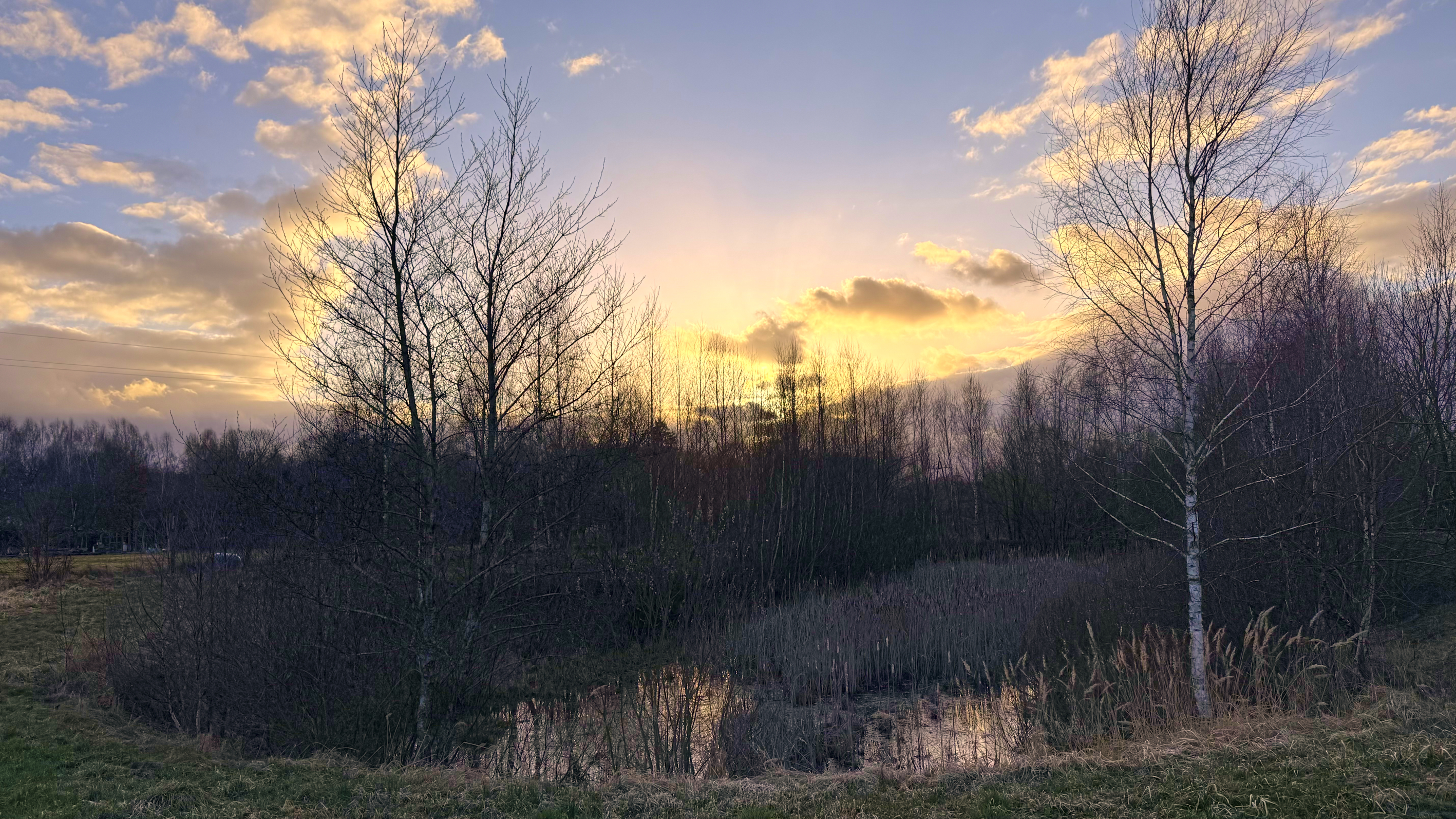 Sunset over a marsh with bare trees silhouetted against a cloudy sky